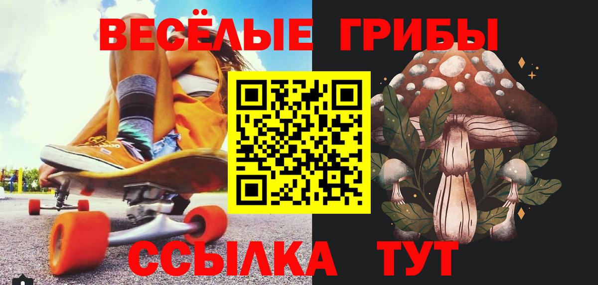 Псилоцибиновые грибы Psilocybe Малоярославец