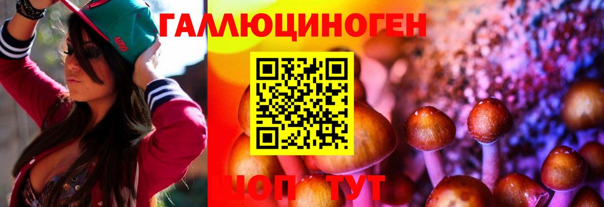 Псилоцибиновые грибы Psilocybine cubensis  Галлюциногенные грибы Psilocybine cubensis  Малоярославец  Вход с VPN 